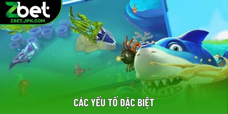 Các yếu tố đặc biệt