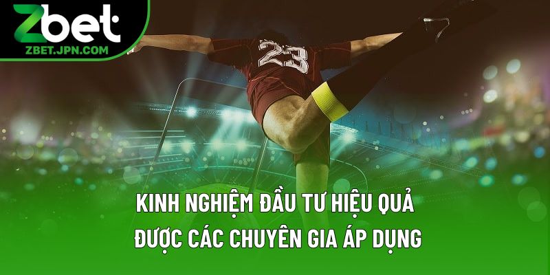 Kinh nghiệm đầu tư hiệu quả được các chuyên gia áp dụng